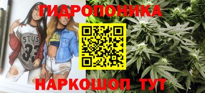 стаф Северобайкальск